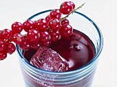 Drink with redcurrants and ice cube