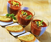 Gazpacho (cold vegetable soup) and garlic baguette