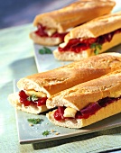 Pastrami submarine sandwich with cheese