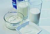 Milch und verschiedene Milchprodukte