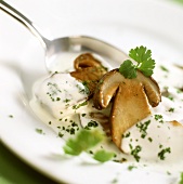 Ceps in cream sauce with parsley