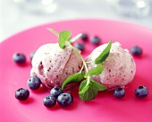 Blueberry ice cream with sprig of mint