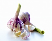 Two garlic bulbs and cloves of garlic