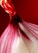 Half a red onion (close-up)