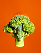Broccoli floret against red background