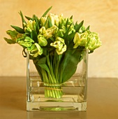 White tulips in a glass container