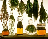 Various types of herb vinegar