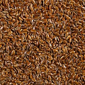 Linseed, filling the picture
