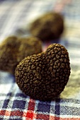 Black truffle on a kitchen cloth