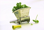 Parsley mill with fresh parsley