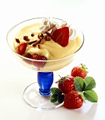 Vanillepudding mit Sahne, Erdbeeren und Schokoröllchen