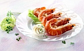 Four shrimps with cream and garlic dip