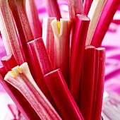 Sticks of rhubarb (close-up)