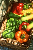 Basket of assorted peppers