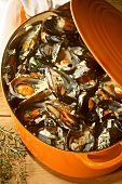Moules à la crème (mussels in wine and cream stock, France)