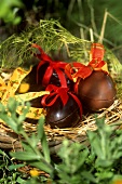 Chocolate eggs in straw nest