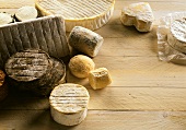 Various sorts of cheese on wooden background