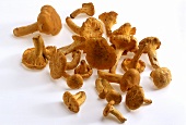 Chanterelles