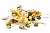 Mixed sprouts on white background