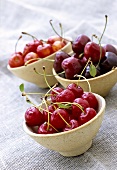 Three bowls of different cherries