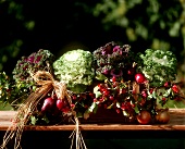 Window box with cabbages and autumn decoration