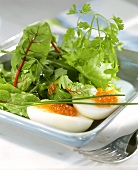 Boiled eggs with salmon caviare, with young chard leaves
