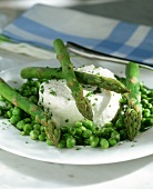 Soft cheese with green asparagus and green peas