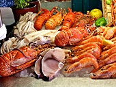 Fish buffet: squid, lobster, shark steak, shrimps