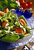 Mixed salad leaves with cheese and tomatoes