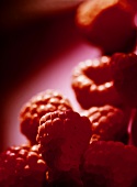 Raspberries against red background