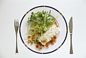 Fischterrine mit Salat und Tomatenvinaigrette