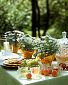 Laid table with fruit and punch