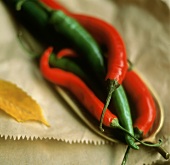 Red and green chilis
