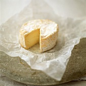 Goat's cheese