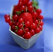Redcurrants with strawberries in a cardboard punnet