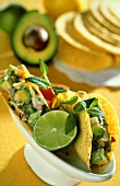 Tacos with chicken and avocado filling