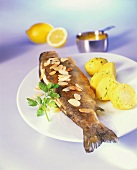 Trout, Miller's wife style in almond butter, parsley potatoes