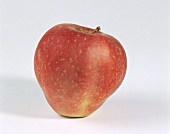 A Gloster apple