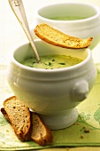 Kräutersuppe und geröstete Brotscheiben