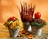 Flower pots, with Christmassy decorations