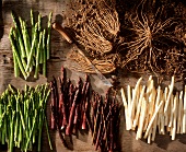 Various types of asparagus and asparagus roots