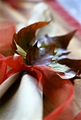Autumn leaves as table decoration
