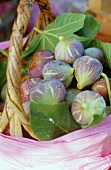 Fresh figs in basket