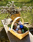 Basket of coloured Easter eggs in front of pussy willow