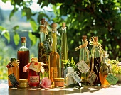 Herb liqueurs, vinegar, syrup, ointment, tooth powder (home-made)