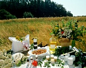Still life with herbal and natural products in a meadow