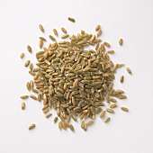 Pile of Unripe Spelt Grains