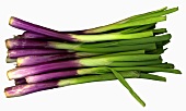 Purple spring onion