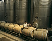 Racking wine, Carmen Wine Cellar, Maipo Valley, Chile