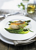 Zander fillet with green asparagus and champagne sauce